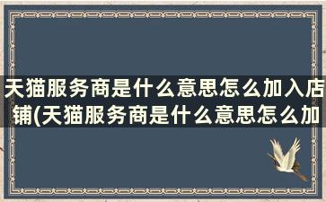 天猫服务商是什么意思怎么加入店铺(天猫服务商是什么意思怎么加入会员)