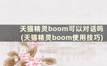 天猫精灵boom可以对话吗(天猫精灵boom使用技巧)