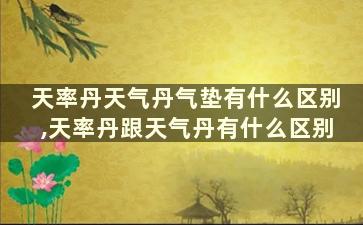 天率丹天气丹气垫有什么区别,天率丹跟天气丹有什么区别