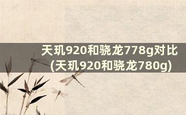 天玑920和骁龙778g对比(天玑920和骁龙780g)