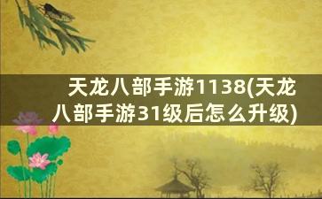 天龙八部手游1138(天龙八部手游31级后怎么升级)