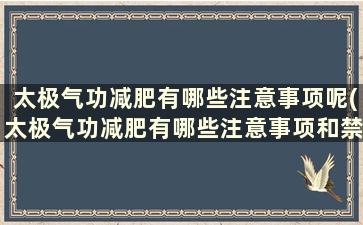 太极气功减肥有哪些注意事项呢(太极气功减肥有哪些注意事项和禁忌症)