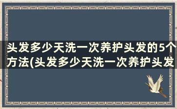 头发多少天洗一次养护头发的5个方法(头发多少天洗一次养护头发的5个方法)