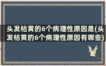 头发枯黄的6个病理性原因是(头发枯黄的6个病理性原因有哪些)