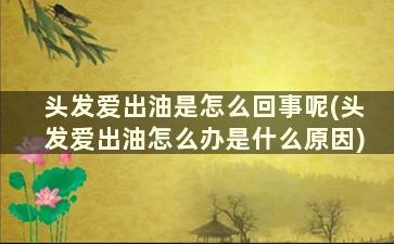 头发爱出油是怎么回事呢(头发爱出油怎么办是什么原因)