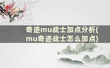 奇迹mu战士加点分析(mu奇迹战士怎么加点)