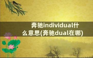 奔驰individual什么意思(奔驰dual在哪)