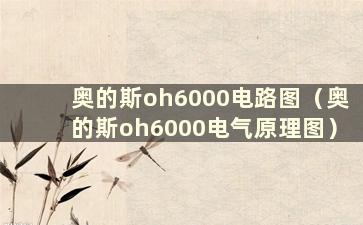 奥的斯oh6000电路图（奥的斯oh6000电气原理图）