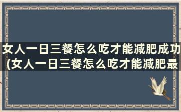 女人一日三餐怎么吃才能减肥成功(女人一日三餐怎么吃才能减肥最快)