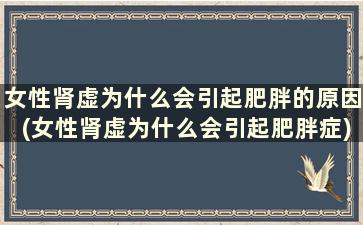 女性肾虚为什么会引起肥胖的原因(女性肾虚为什么会引起肥胖症)