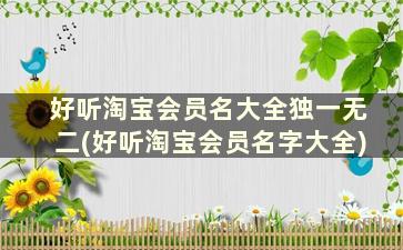 好听淘宝会员名大全独一无二(好听淘宝会员名字大全)