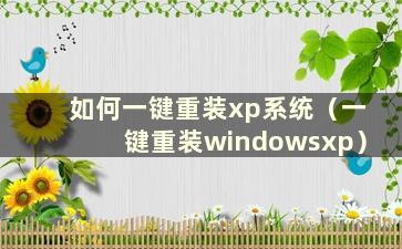 如何一键重装xp系统（一键重装windowsxp）