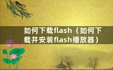 如何下载flash（如何下载并安装flash播放器）