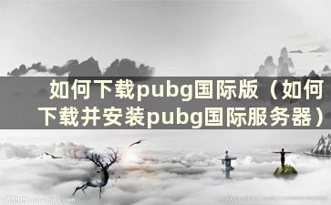 如何下载pubg国际版（如何下载并安装pubg国际服务器）