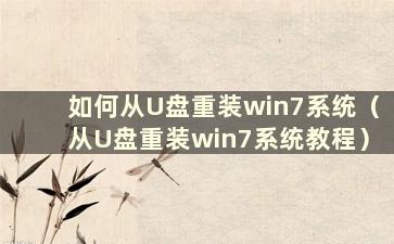 如何从U盘重装win7系统（从U盘重装win7系统教程）