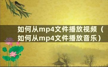 如何从mp4文件播放视频（如何从mp4文件播放音乐）