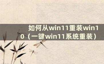 如何从win11重装win10（一键win11系统重装）