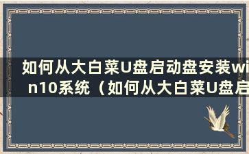 如何从大白菜U盘启动盘安装win10系统（如何从大白菜U盘启动盘安装win10系统固态硬盘）