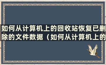 如何从计算机上的回收站恢复已删除的文件数据（如何从计算机上的回收站恢复已删除的文件）