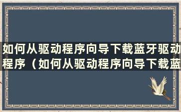 如何从驱动程序向导下载蓝牙驱动程序（如何从驱动程序向导下载蓝牙驱动软件）