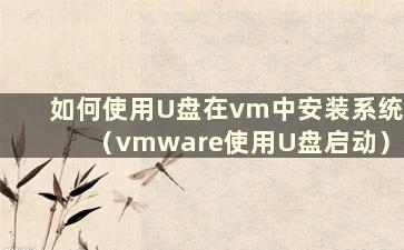 如何使用U盘在vm中安装系统（vmware使用U盘启动）