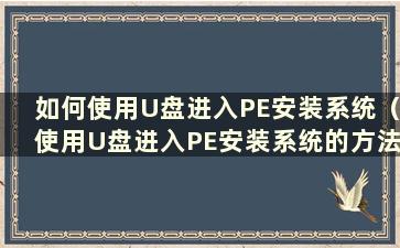 如何使用U盘进入PE安装系统（使用U盘进入PE安装系统的方法是什么？）