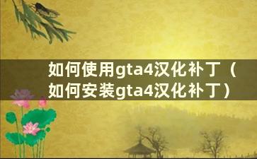 如何使用gta4汉化补丁（如何安装gta4汉化补丁）