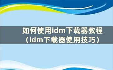 如何使用idm下载器教程（idm下载器使用技巧）