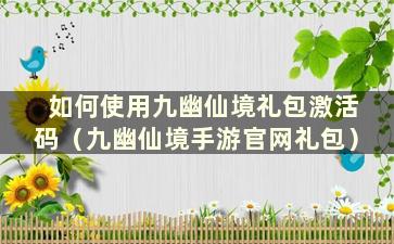 如何使用九幽仙境礼包激活码（九幽仙境手游官网礼包）