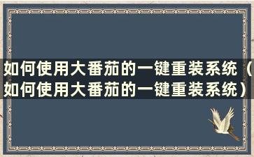 如何使用大番茄的一键重装系统（如何使用大番茄的一键重装系统）