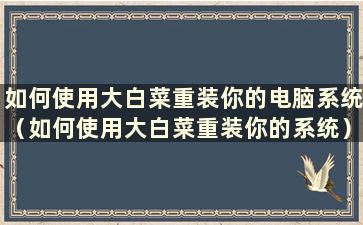 如何使用大白菜重装你的电脑系统（如何使用大白菜重装你的系统）