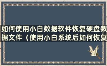 如何使用小白数据软件恢复硬盘数据文件（使用小白系统后如何恢复）