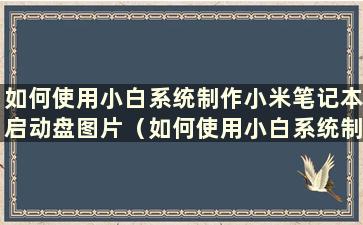 如何使用小白系统制作小米笔记本启动盘图片（如何使用小白系统制作小米笔记本启动盘教程）