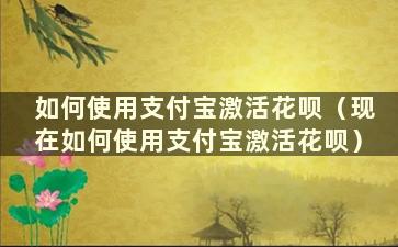 如何使用支付宝激活花呗（现在如何使用支付宝激活花呗）