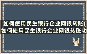 如何使用民生银行企业网银转账(如何使用民生银行企业网银转账功能)