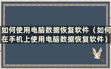 如何使用电脑数据恢复软件（如何在手机上使用电脑数据恢复软件）