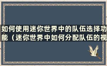 如何使用迷你世界中的队伍选择功能（迷你世界中如何分配队伍的视频）