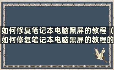 如何修复笔记本电脑黑屏的教程（如何修复笔记本电脑黑屏的教程的图片）