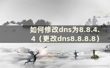 如何修改dns为8.8.4.4（更改dns8.8.8.8）