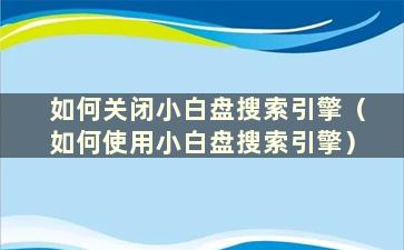 如何关闭小白盘搜索引擎（如何使用小白盘搜索引擎）