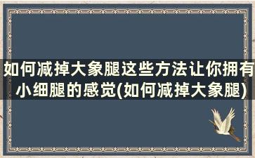 如何减掉大象腿这些方法让你拥有小细腿的感觉(如何减掉大象腿)