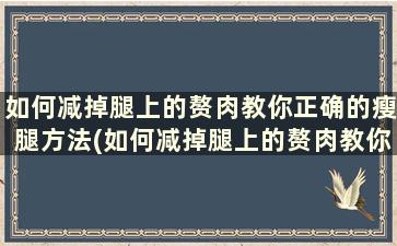 如何减掉腿上的赘肉教你正确的瘦腿方法(如何减掉腿上的赘肉教你正确的瘦腿方法)