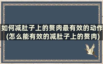 如何减肚子上的赘肉最有效的动作(怎么能有效的减肚子上的赘肉)