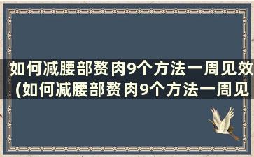 如何减腰部赘肉9个方法一周见效(如何减腰部赘肉9个方法一周见效)