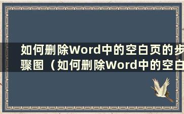 如何删除Word中的空白页的步骤图（如何删除Word中的空白页？）