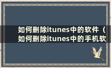 如何删除itunes中的软件（如何删除itunes中的手机软件）