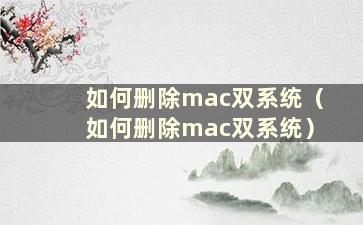 如何删除mac双系统（如何删除mac双系统）