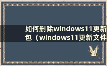 如何删除windows11更新包（windows11更新文件）