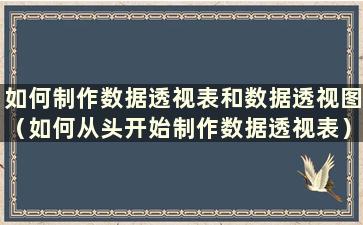 如何制作数据透视表和数据透视图（如何从头开始制作数据透视表）