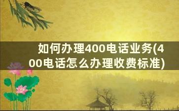 如何办理400电话业务(400电话怎么办理收费标准)